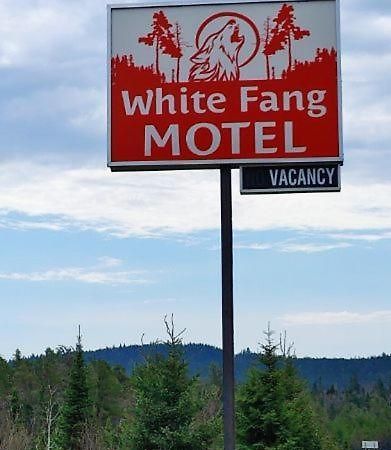 White Fang Motel Wawa Bagian luar foto